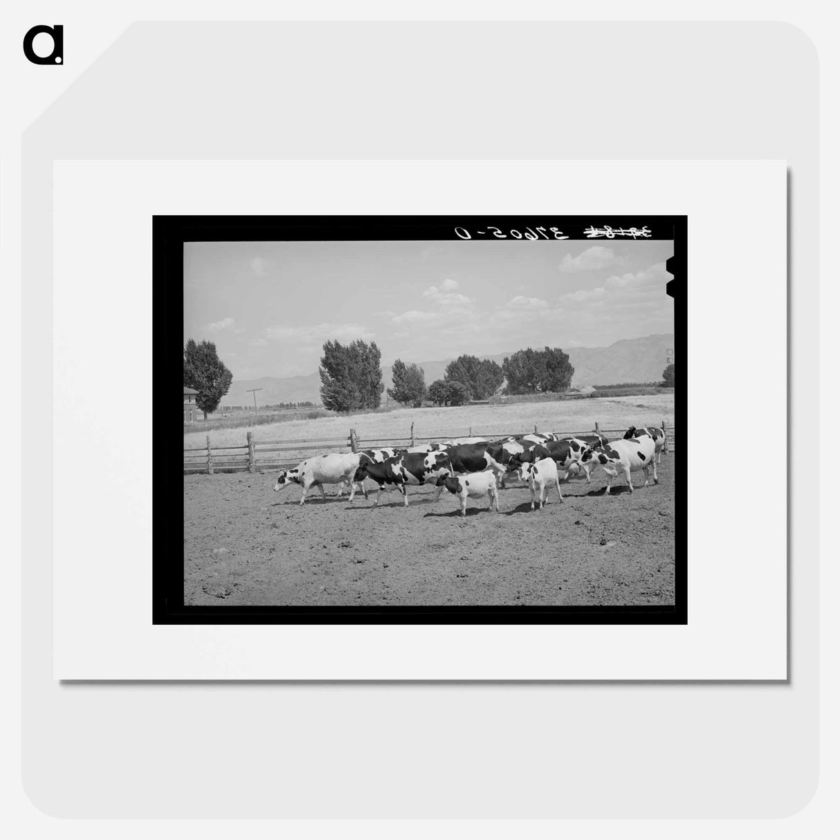 アートポスター-Cache County Dairy Herds
- ラッセル リー Poster.