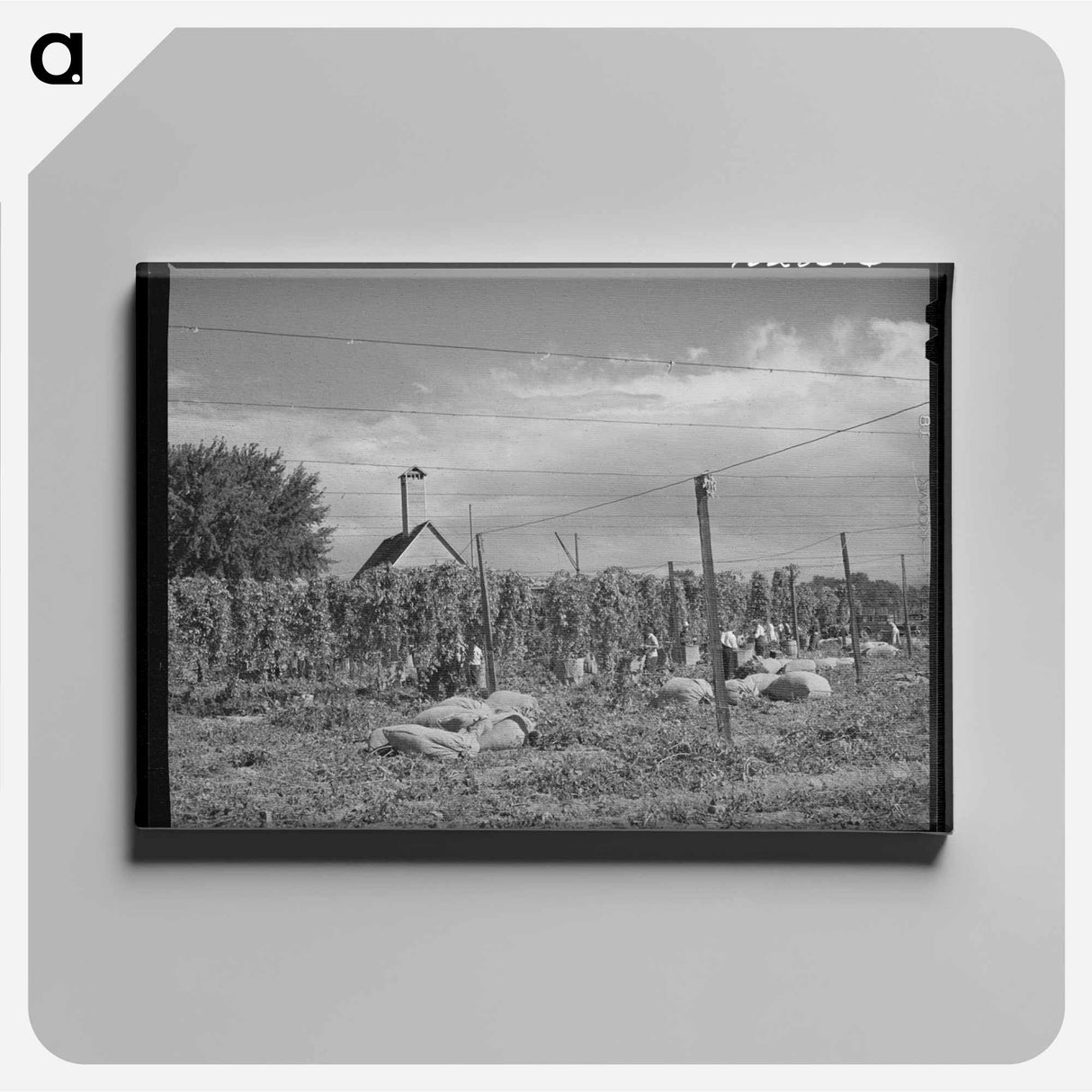アートパネル-Hop Field, Yakima County
- ラッセル リー Canvas.