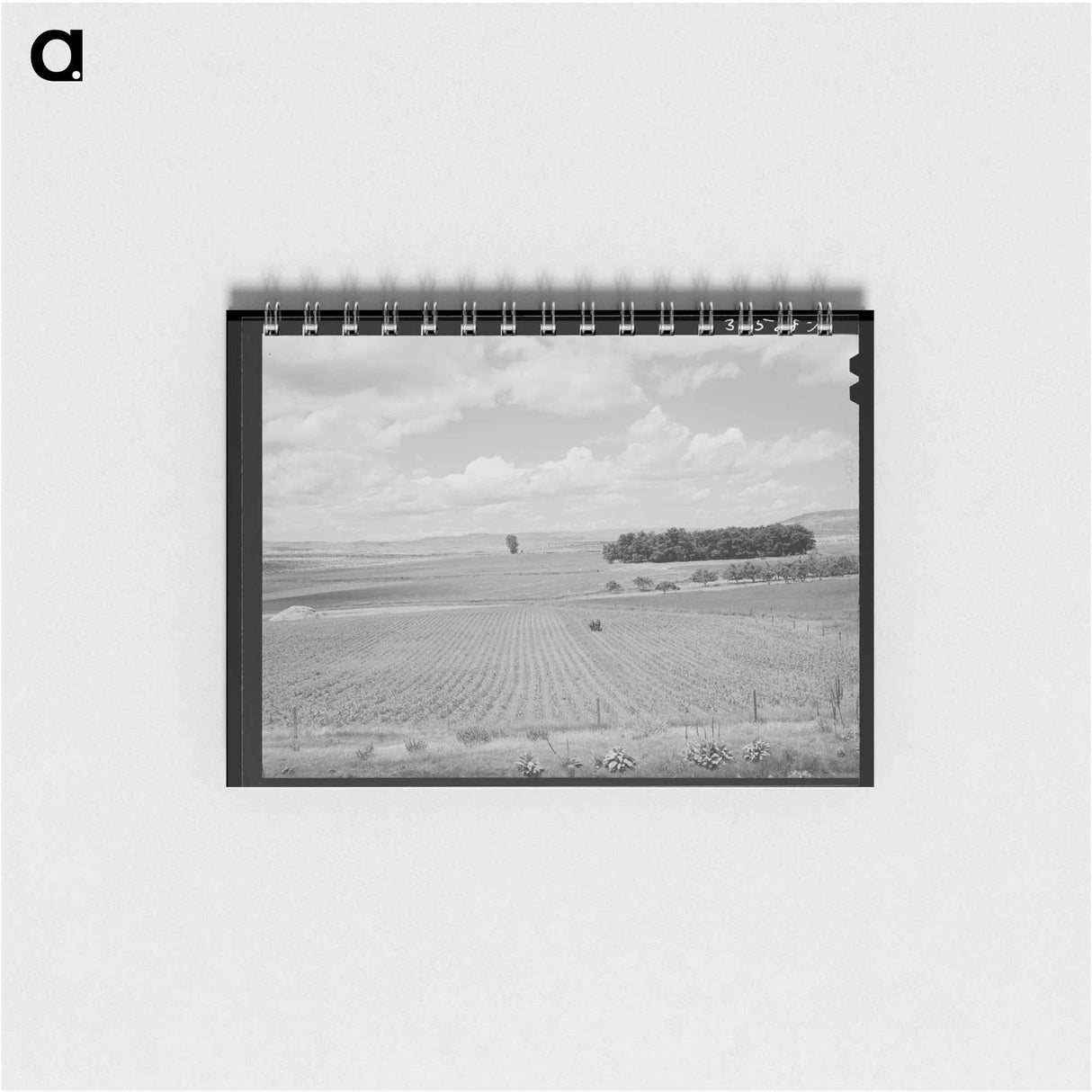 アートメモ帳-Corn Field, Canyon County
- ラッセル リー Memo.