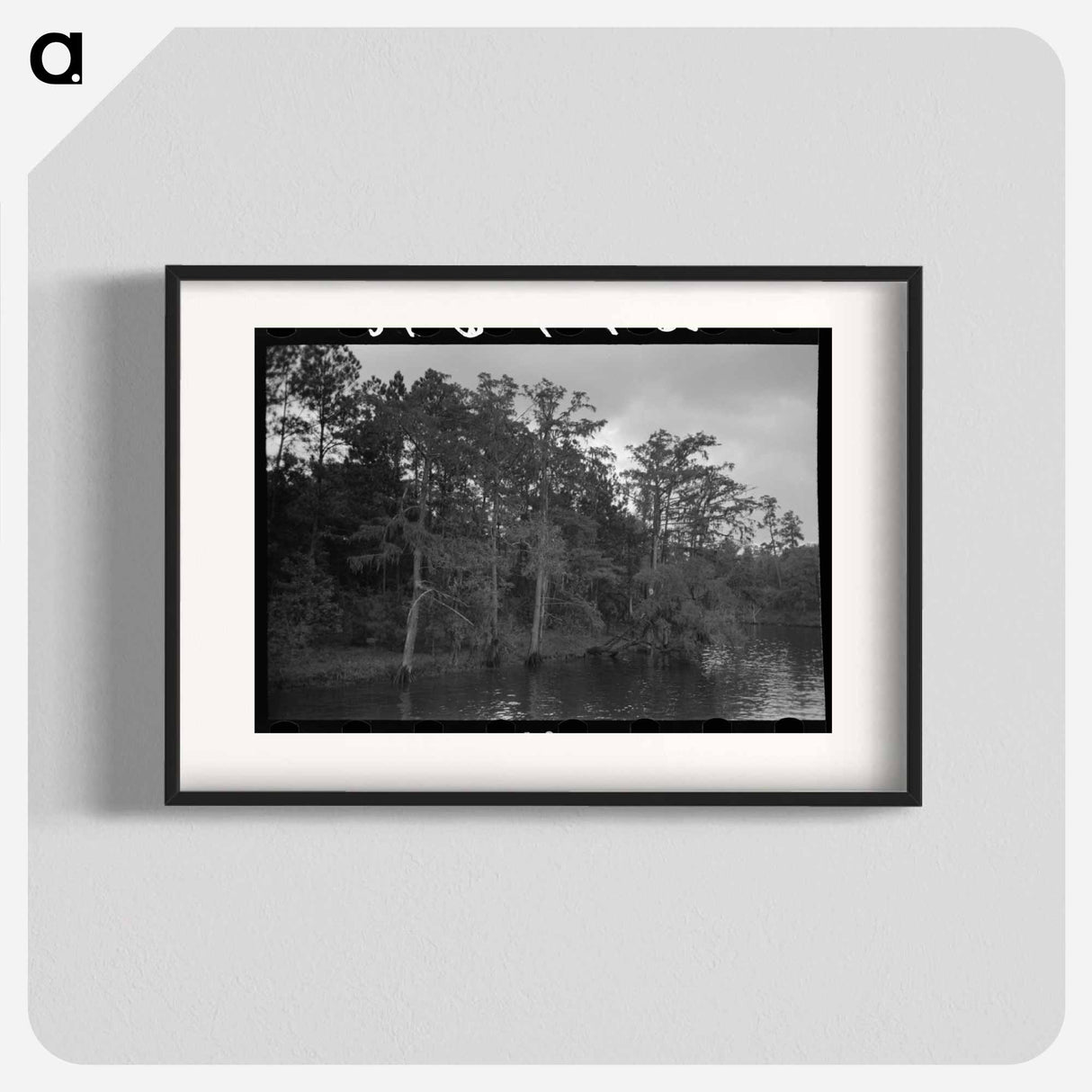アートポスター-Bayou Trees and Moss
- ラッセル リー Poster.