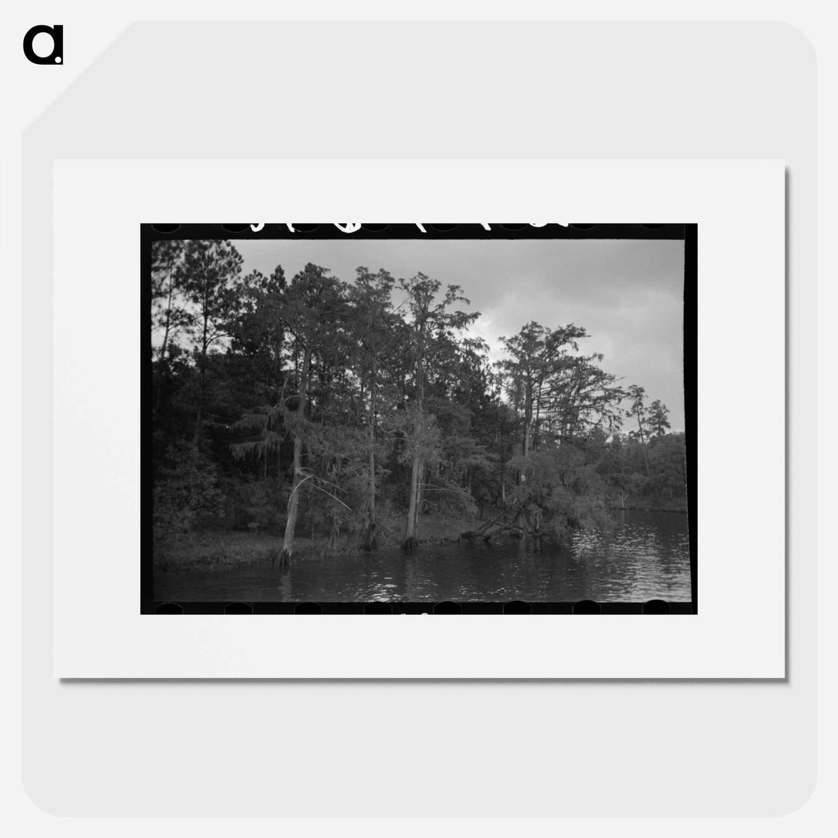 アートポスター-Bayou Trees and Moss
- ラッセル リー Poster.
