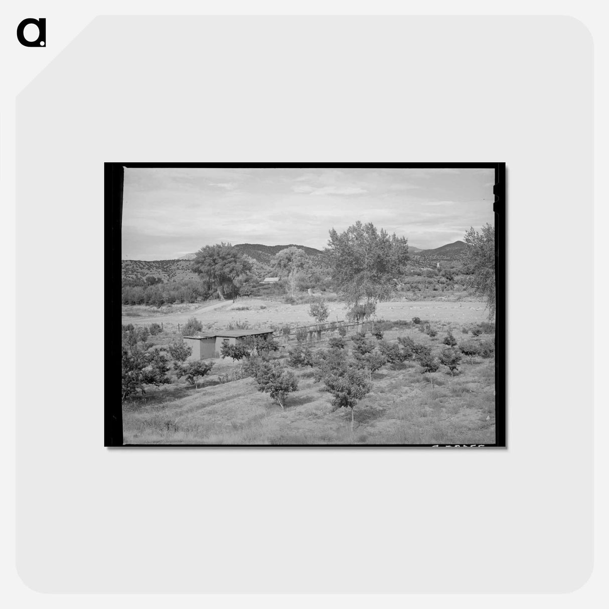 アートポストカード-Irrigated Farm at Amalia
- ラッセル リー Postcard.