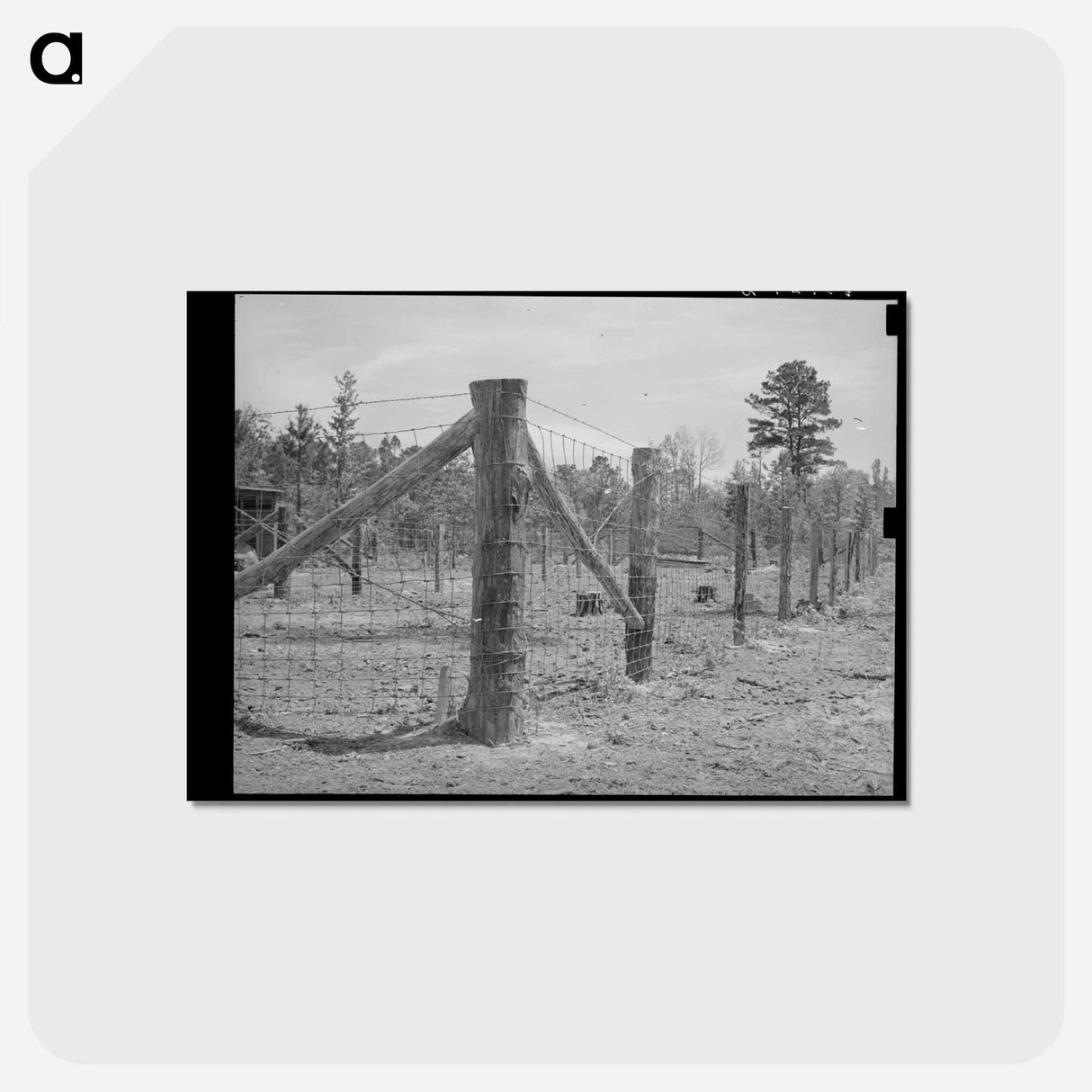 アートポストカード-Sabine Farms Barn Lot
- ラッセル リー Postcard.