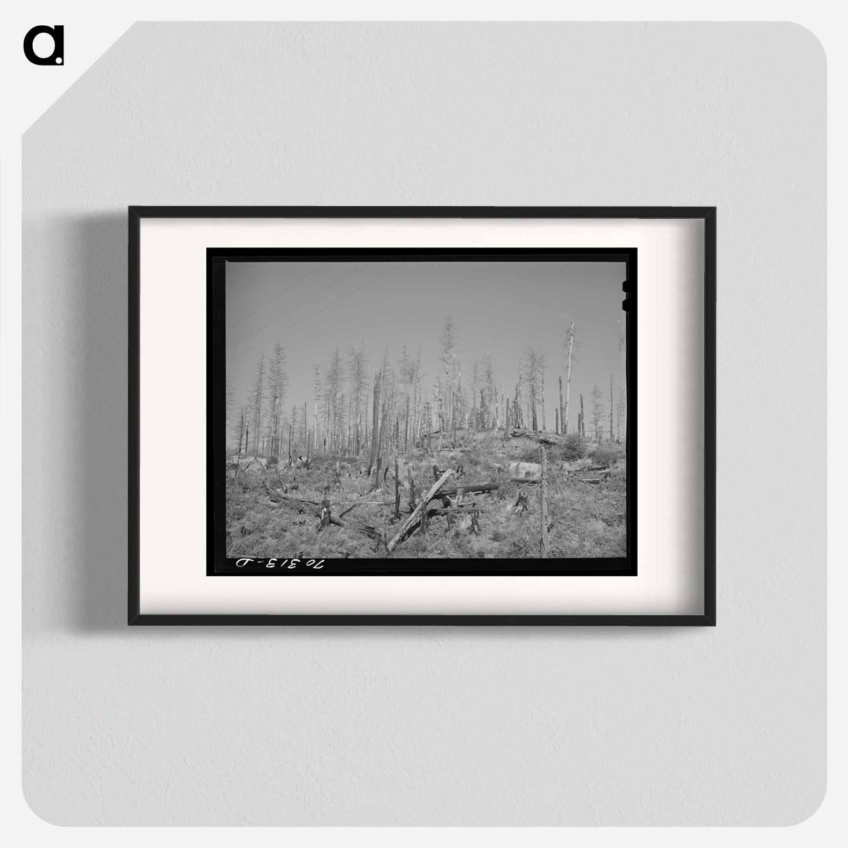 アートポスター-Burned Over Forest Land
- ラッセル リー Poster.