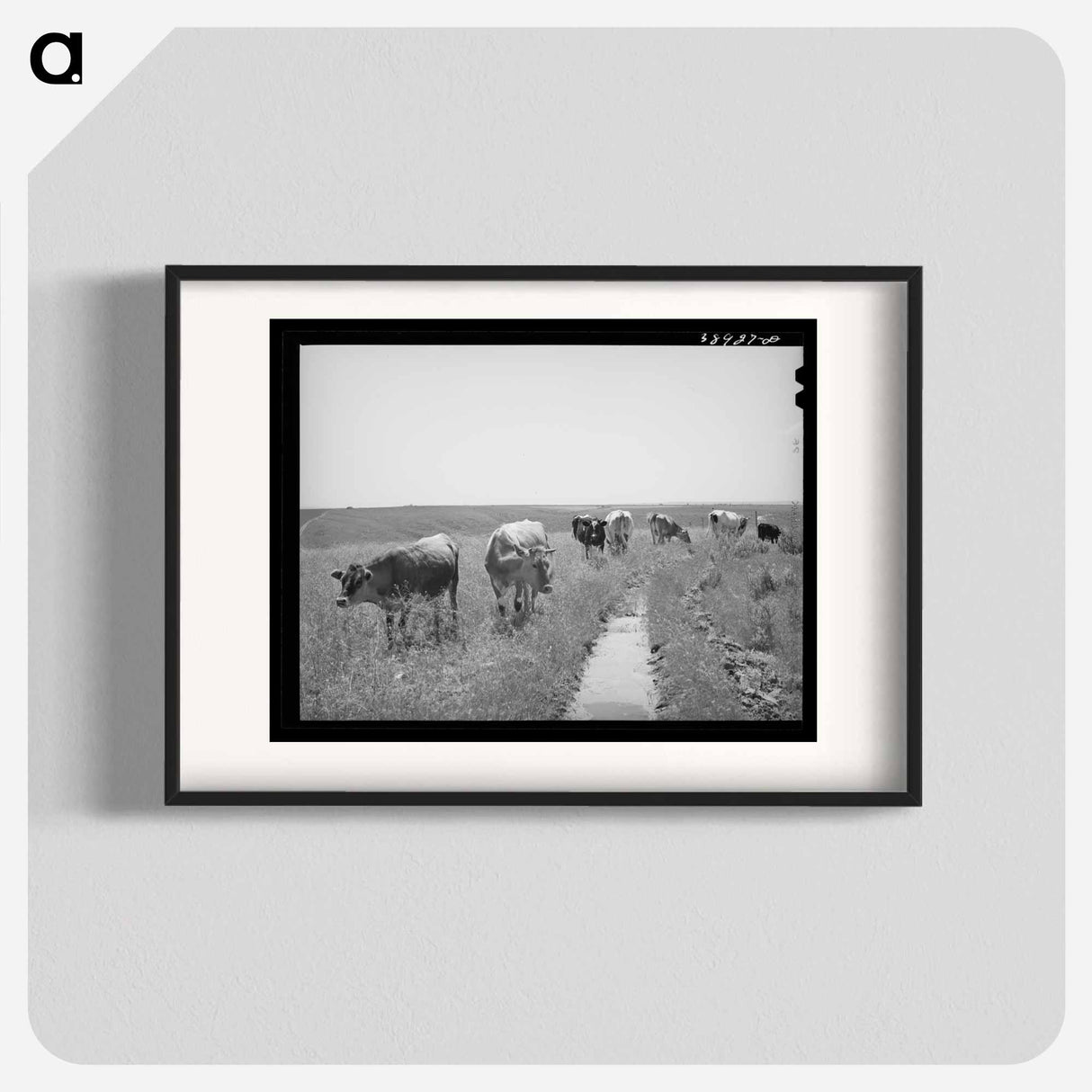 アートポスター-Browning's Cows, Dead Ox Flat
- ラッセル リー Poster.