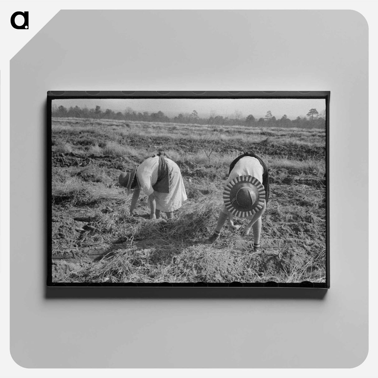 アートパネル-Sweet Potato Harvest
- ラッセル リー Canvas.