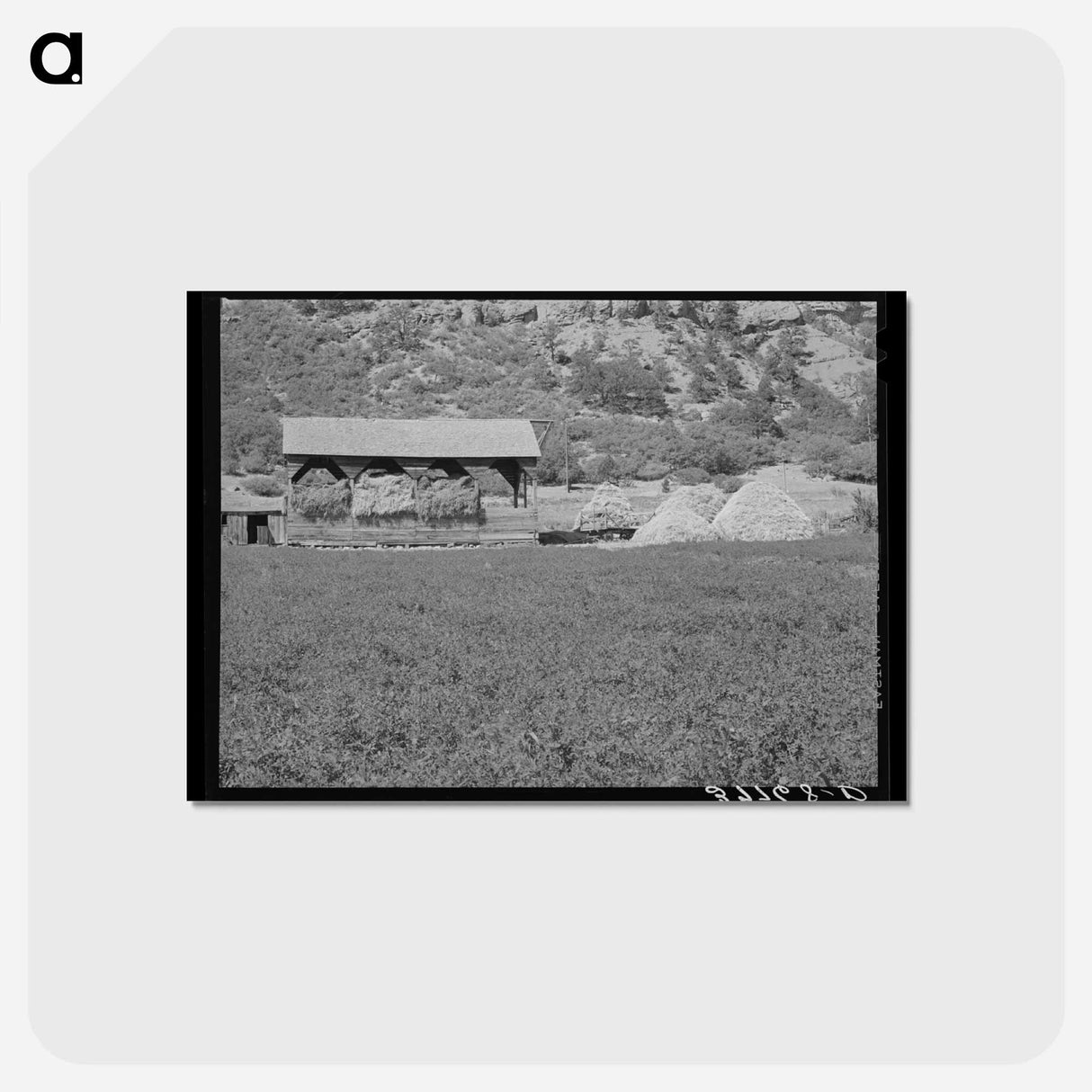 アートポストカード-Alfalfa Field and Hay Barn
- ラッセル リー Postcard.