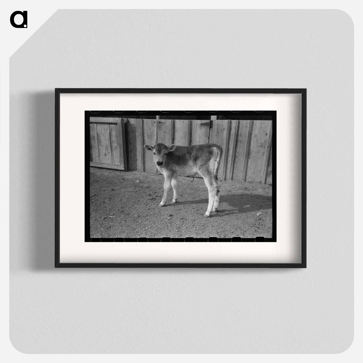 アートポスター-Calf at Casa Grande Farms
- ラッセル リー Poster.