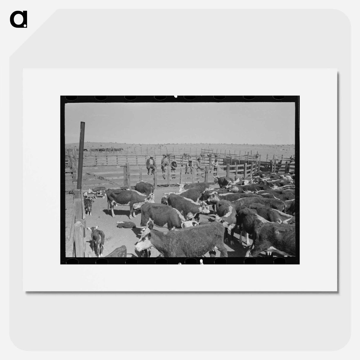 アートポスター-Cattle Roundup Near Marfa
- ラッセル リー Poster.