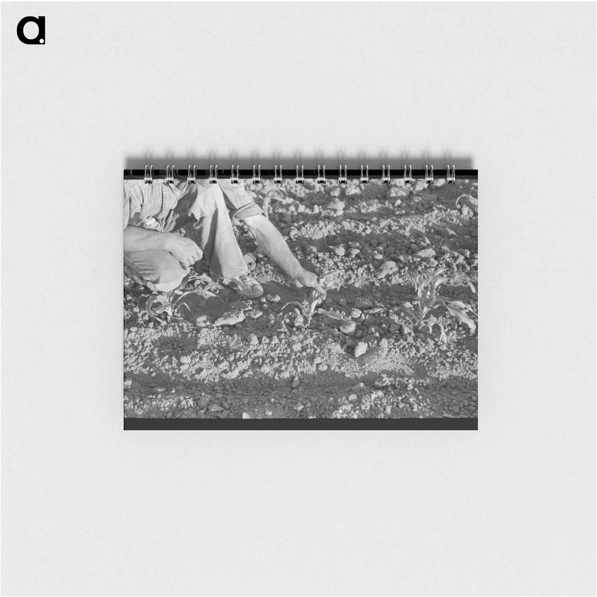 アートメモ帳-Farmer and Corn
- ラッセル リー Memo.