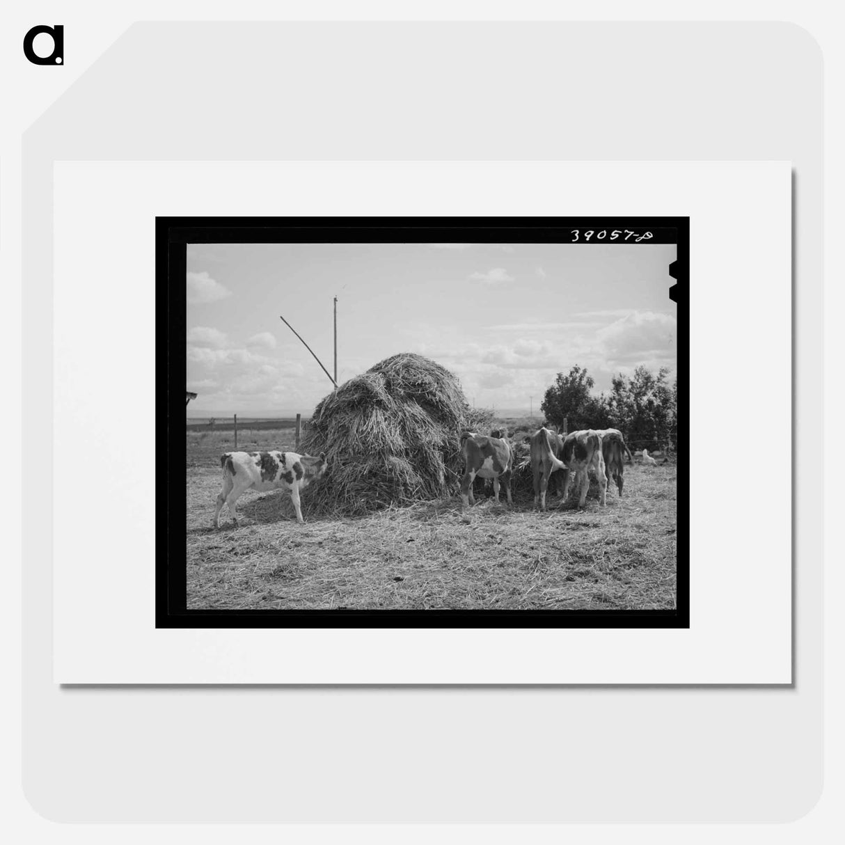 アートポスター-Cattle on Vale-Owyhee Farm
- ラッセル リー Poster.