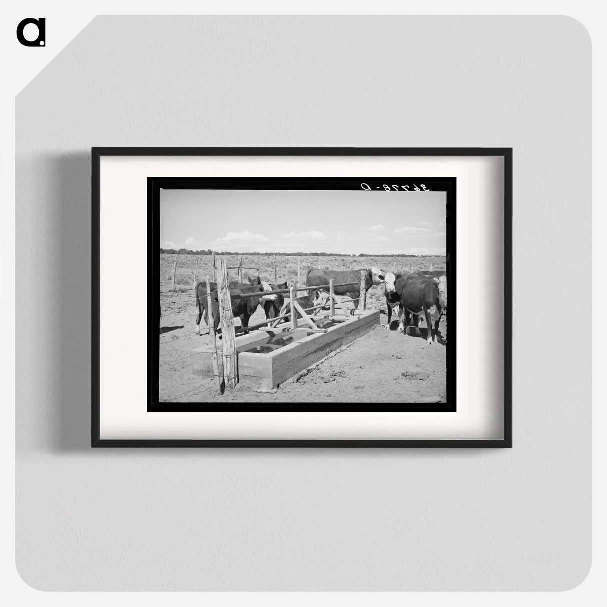 アートポスター-Beef Cattle at the Water Trough
- ラッセル リー Poster.