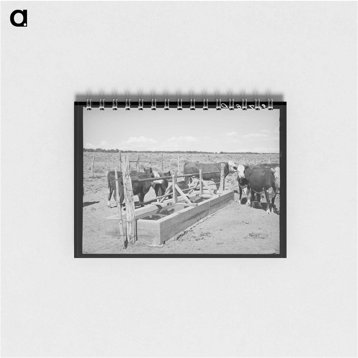 アートメモ帳-Beef Cattle at the Water Trough
- ラッセル リー Memo.