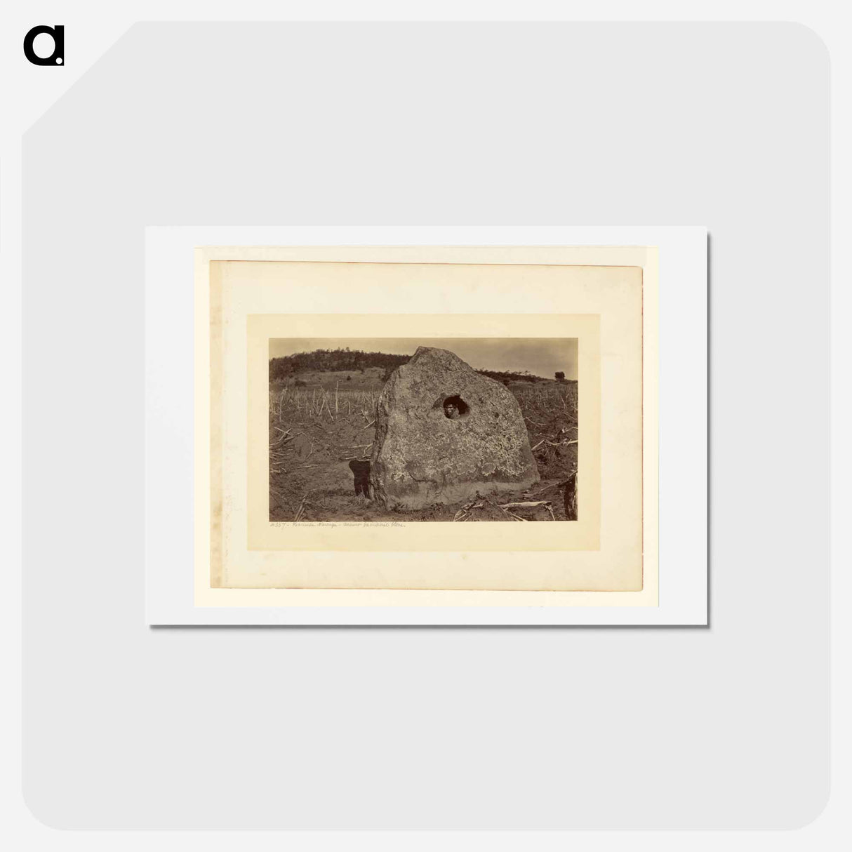 アートポストカード-Hacienda Naranga, Ancient Sacrificial Stone
- エドワード マイブリッジ Postcard.