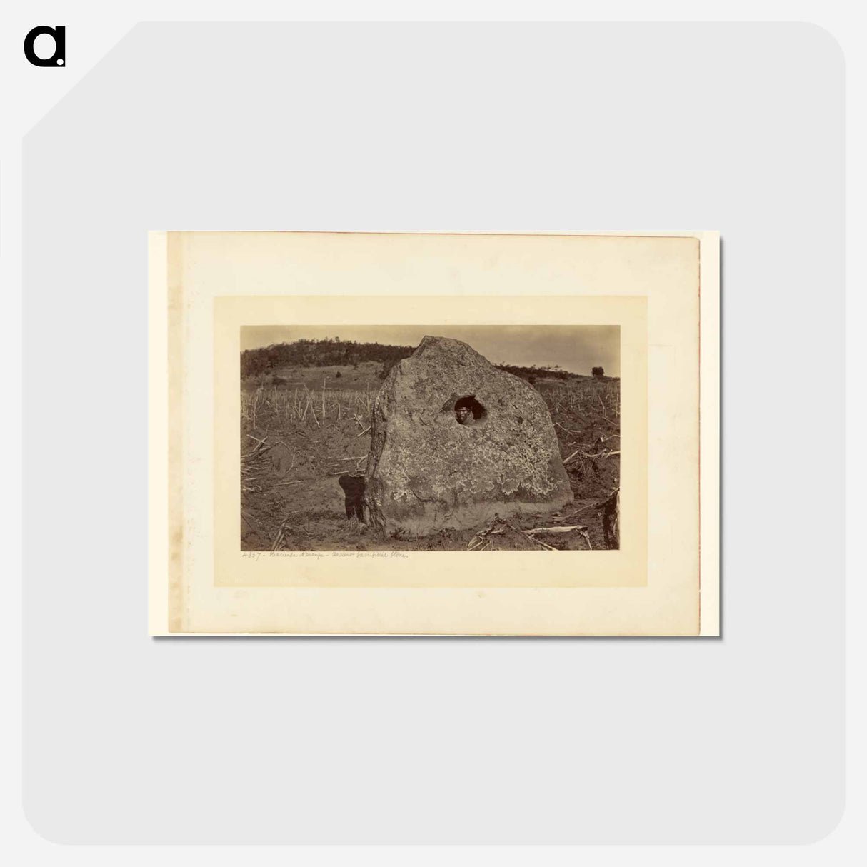 アートポストカード-Hacienda Naranga, Ancient Sacrificial Stone
- エドワード マイブリッジ Postcard.