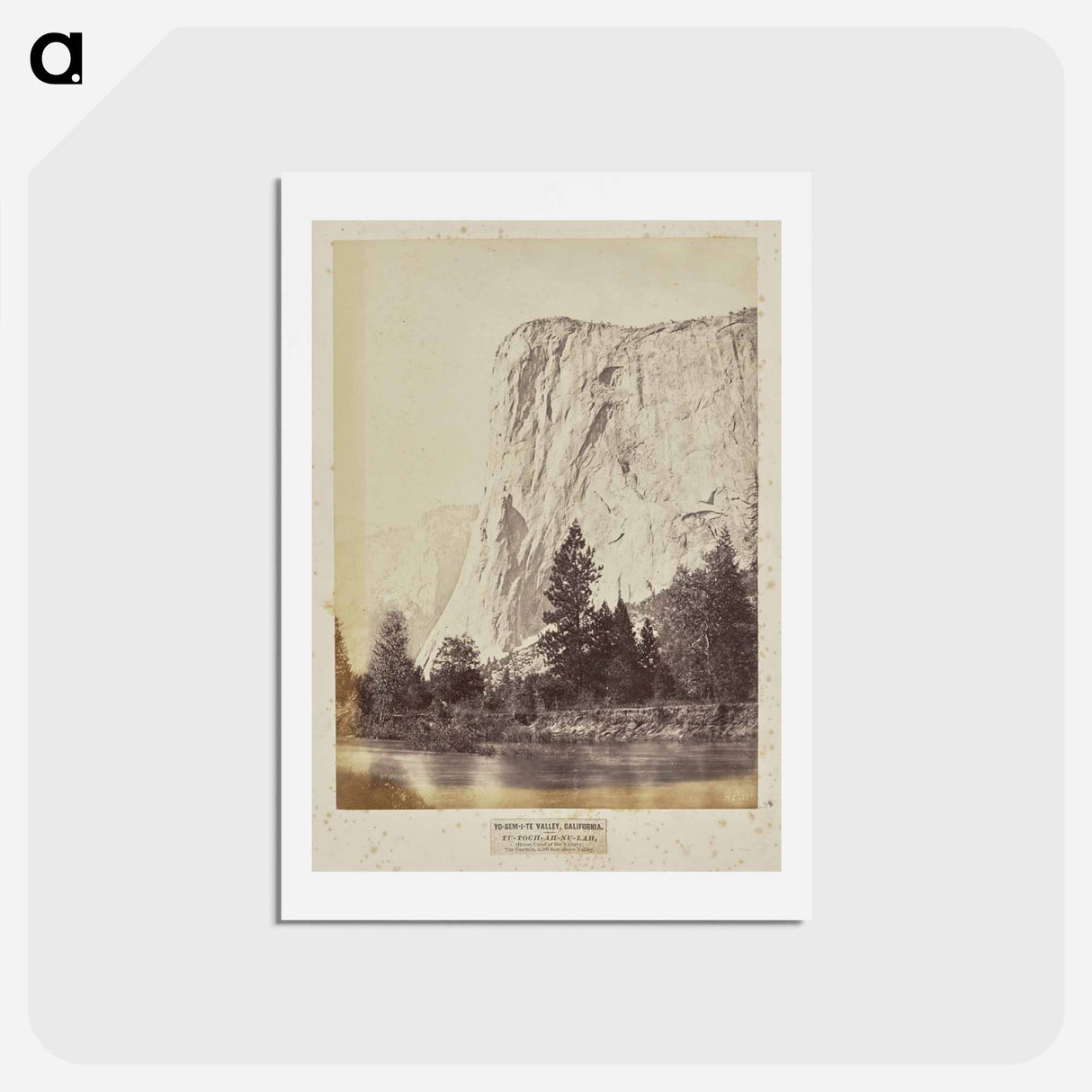 アートポストカード-Yo-Sem-i-te Valley
- エドワード マイブリッジ Postcard.