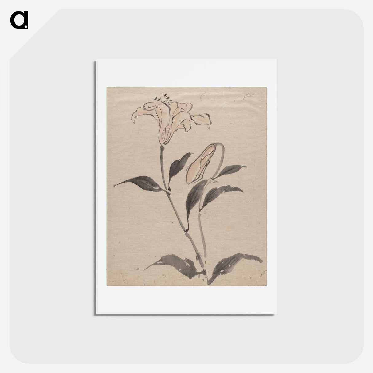 アートポストカード-Flower - 葛飾 北斎 Postcard.