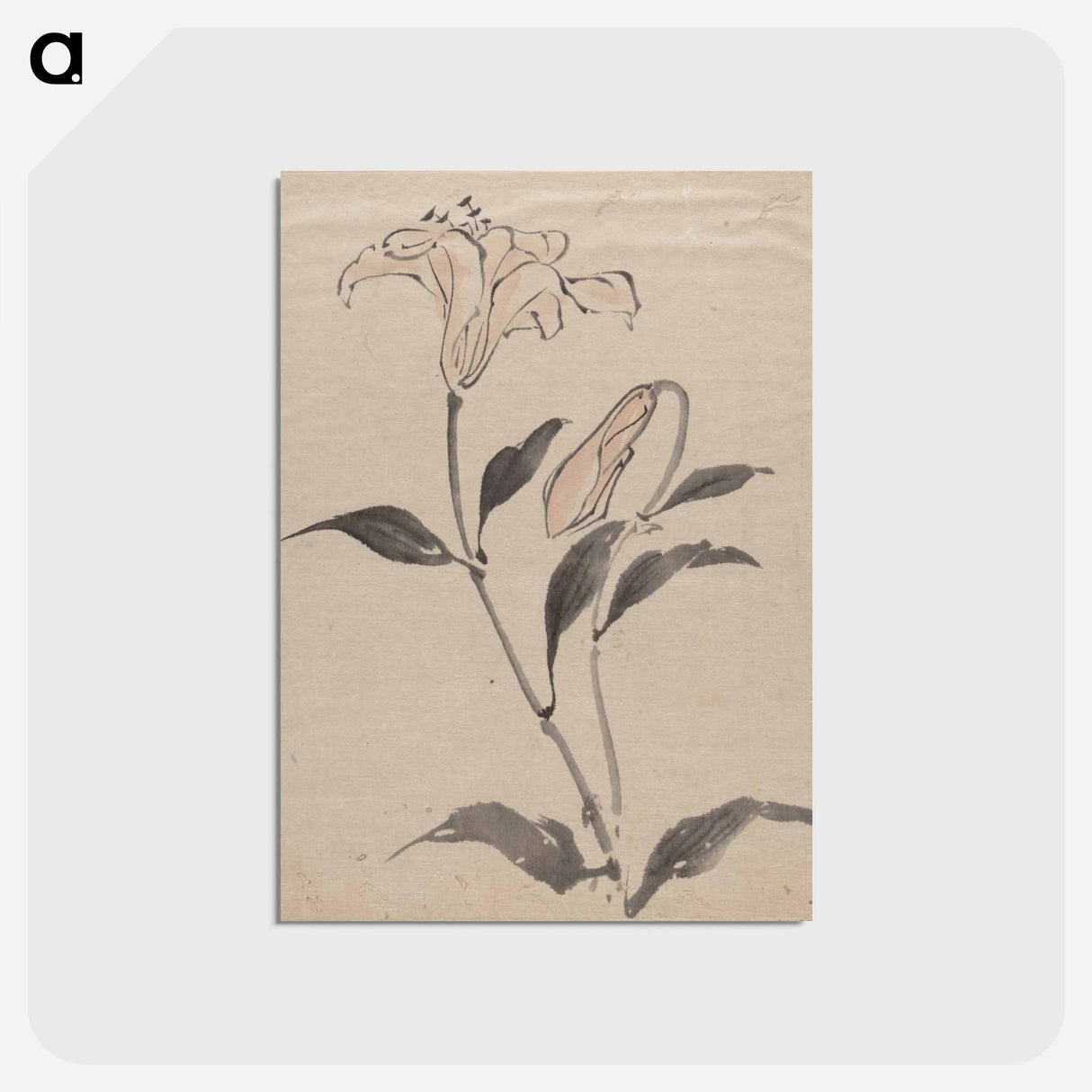 アートポストカード-Flower - 葛飾 北斎 Postcard.