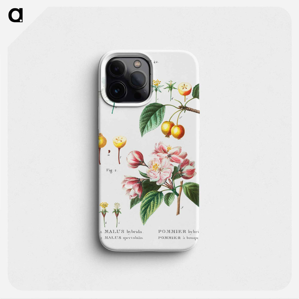 Flowering crabapple (Malus hybrida) 2. Chinese flowering apple (Malus spectabilis) - ピエール ジョゼフ ルドゥーテ Phone Case.
