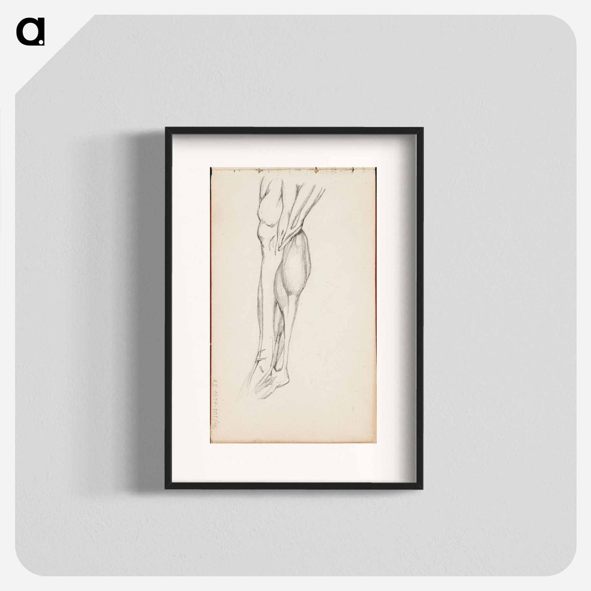 (unknown) part of a sketchbook - アルバート エーデルフェルト Poster.