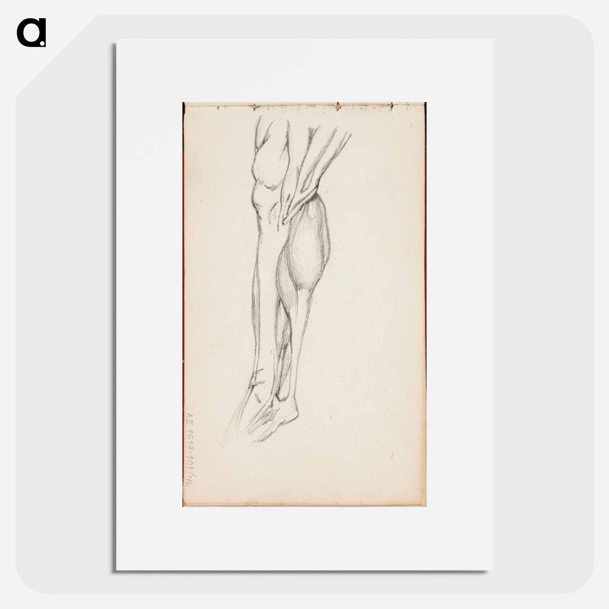 (unknown) part of a sketchbook - アルバート エーデルフェルト Poster.