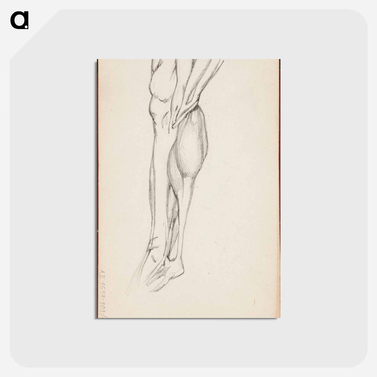 アートポストカード-(unknown) part of a sketchbook - アルバート エーデルフェルト Postcard.