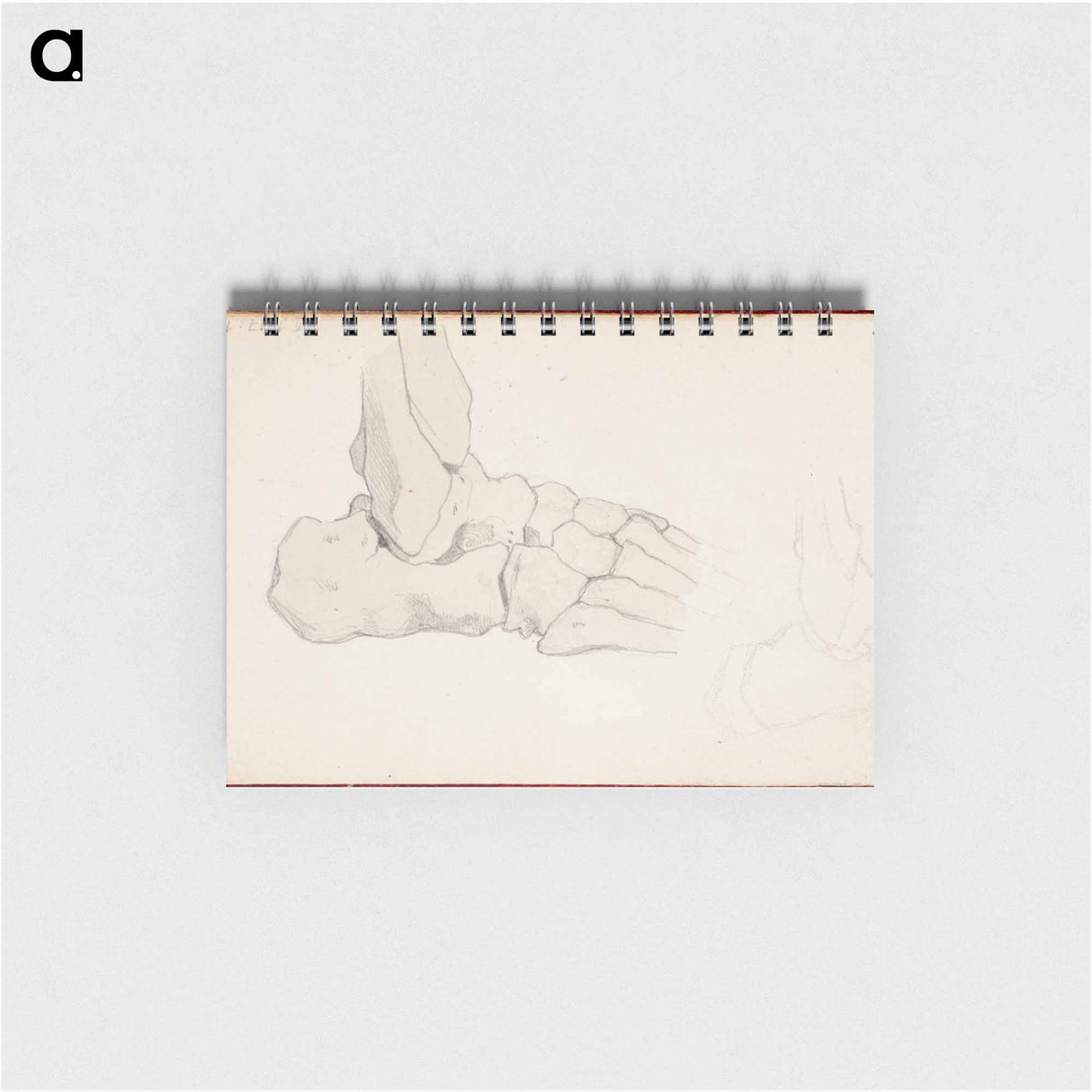 (unknown) part of a sketchbook - アルバート エーデルフェルト Memo.