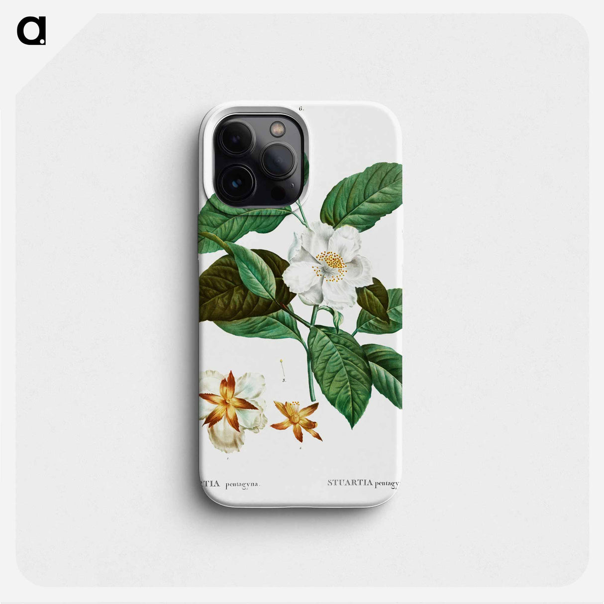 Stewartia pentagyna - ピエール ジョゼフ ルドゥーテ Phone Case.