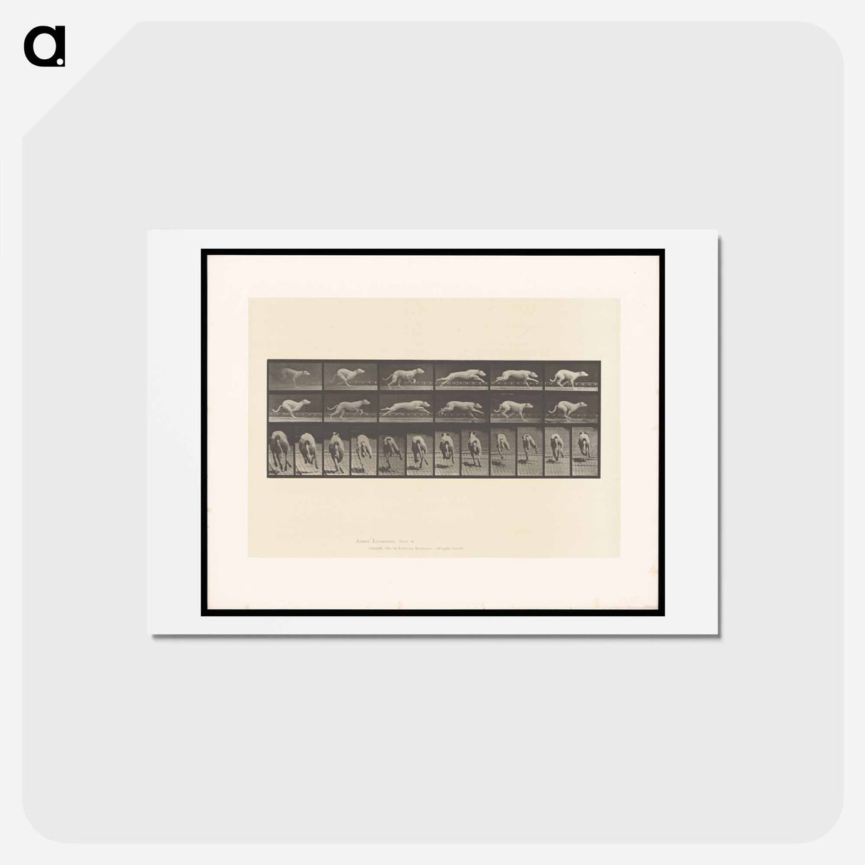 アートポストカード-Running Dog
- エドワード マイブリッジ Postcard.
