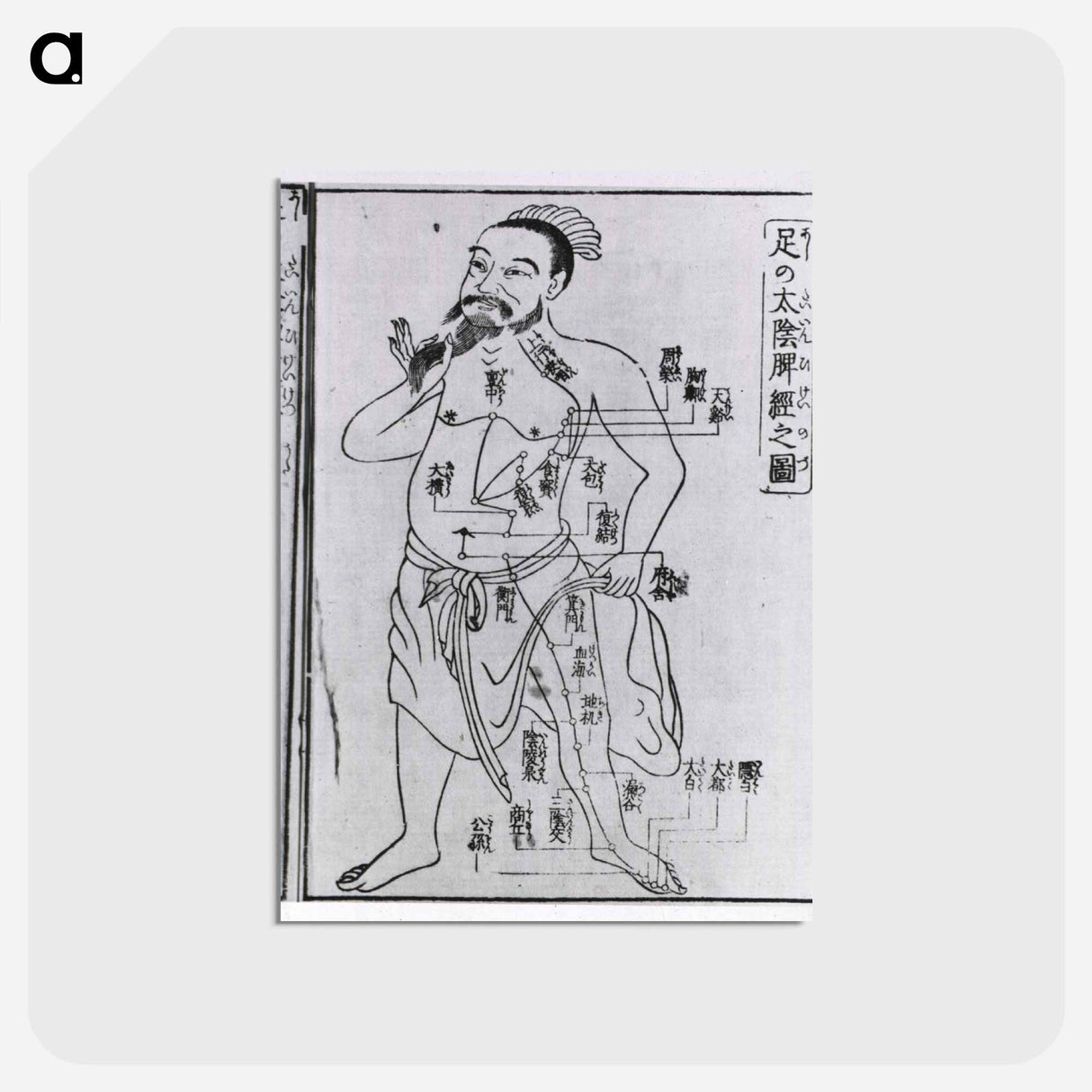 アートポストカード-Acupuncture Point Illustration
- 国立医学図書館 Postcard.
