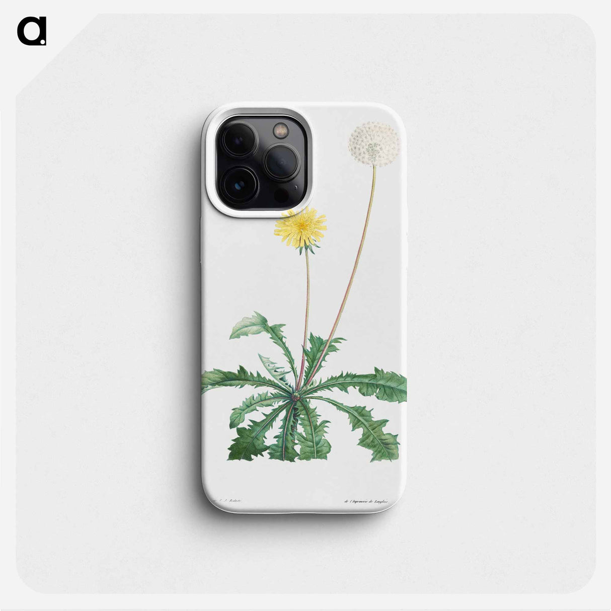 Dandelion - ピエール ジョゼフ ルドゥーテ Phone Case.
