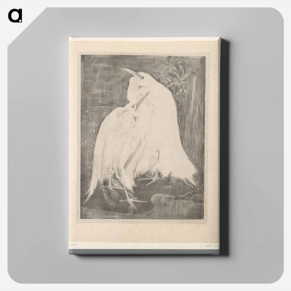 Twee zilverreigers - Theo van Hoytema Canvas.