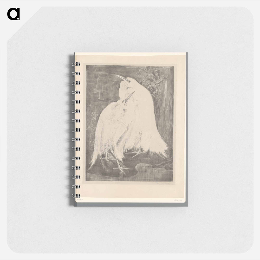 Twee zilverreigers - テオ ヴァン ホイテマ Memo.