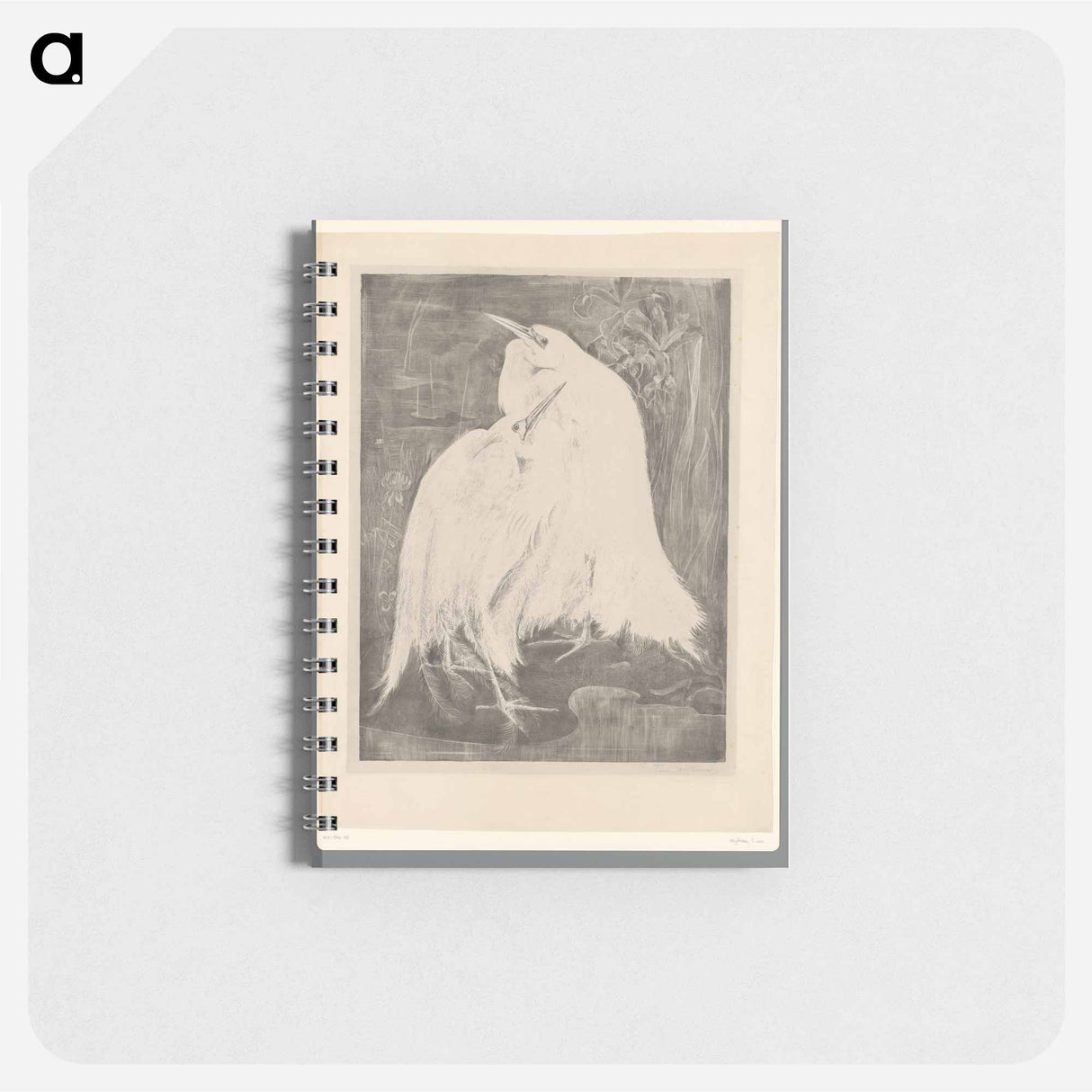 Twee zilverreigers - テオ ヴァン ホイテマ Memo.