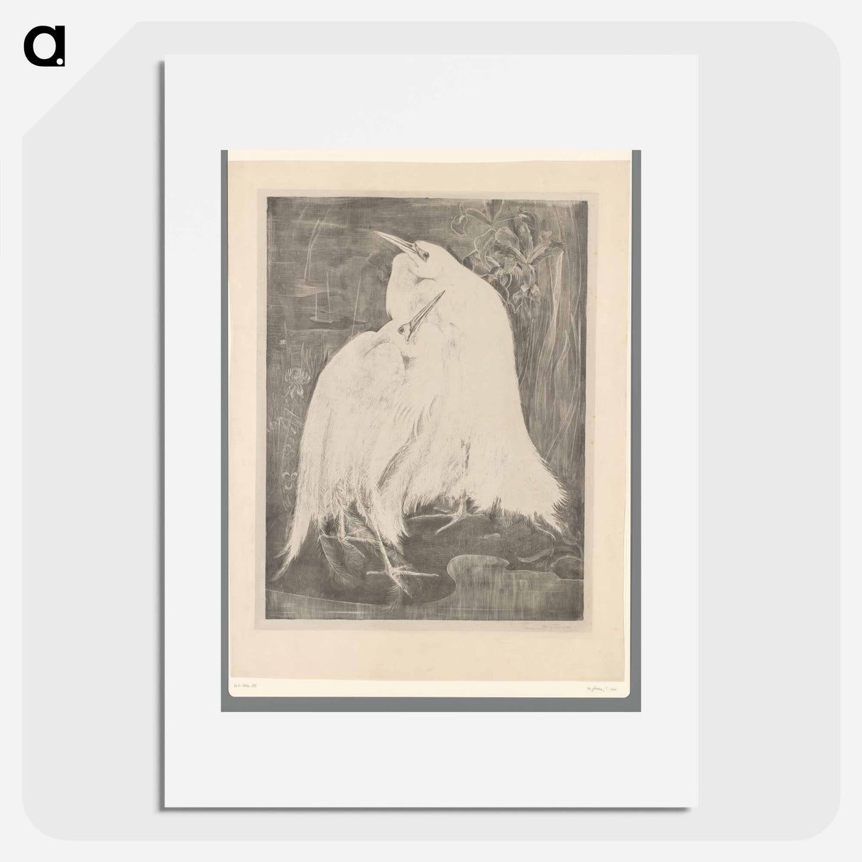 Twee zilverreigers - Theo van Hoytema Poster.