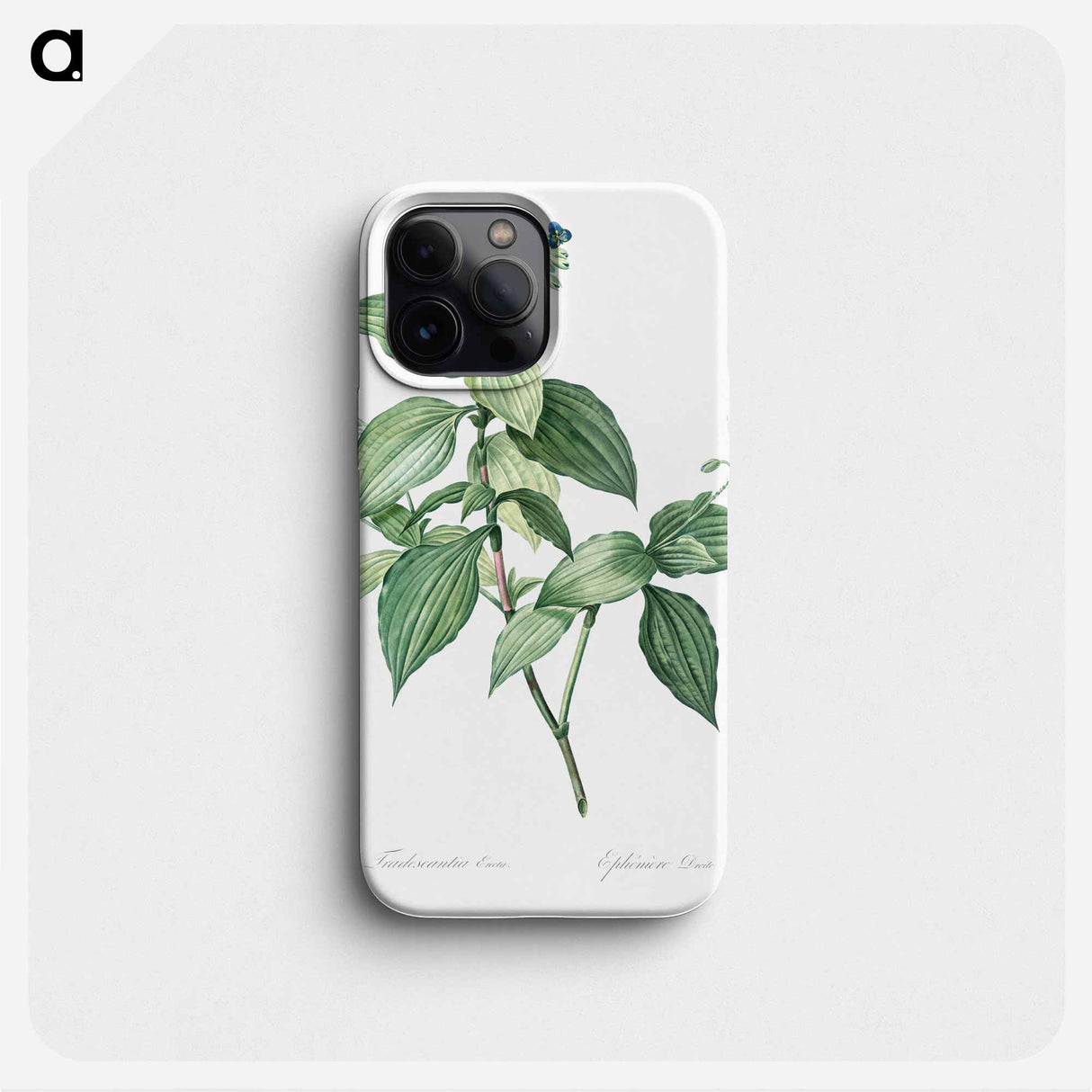 Tradescantia erecta - ピエール ジョゼフ ルドゥーテ Phone Case.