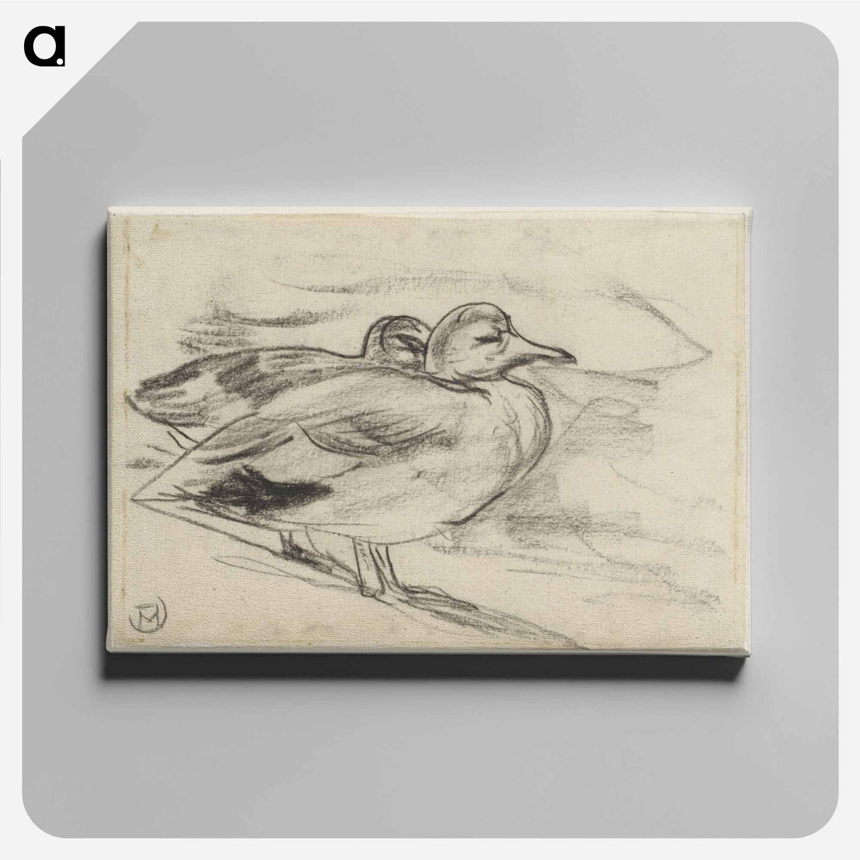 Twee eenden - Theo van Hoytema Canvas.
