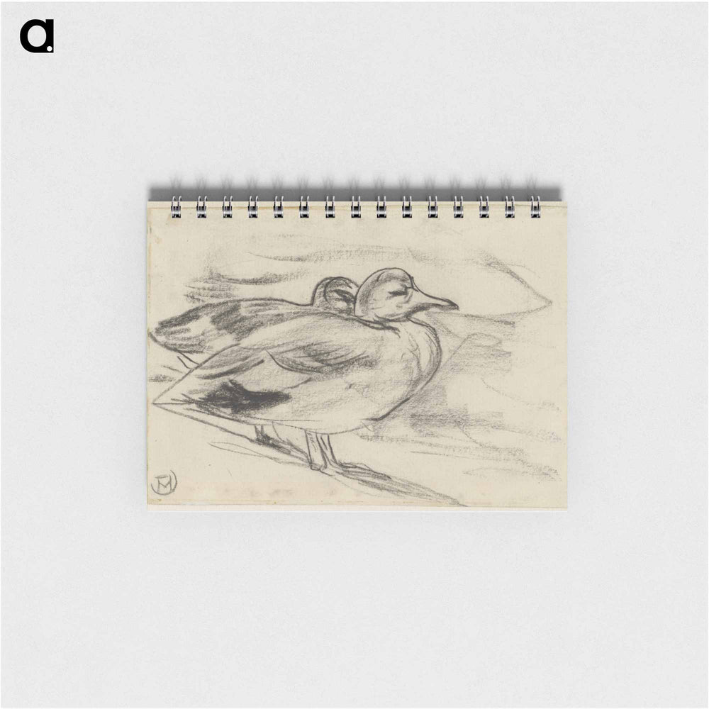 Twee eenden - テオ ヴァン ホイテマ Memo.