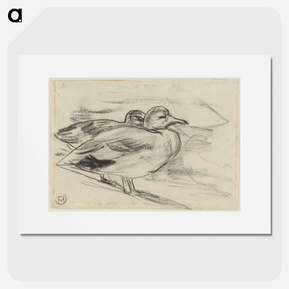 Twee eenden - Theo van Hoytema Poster.