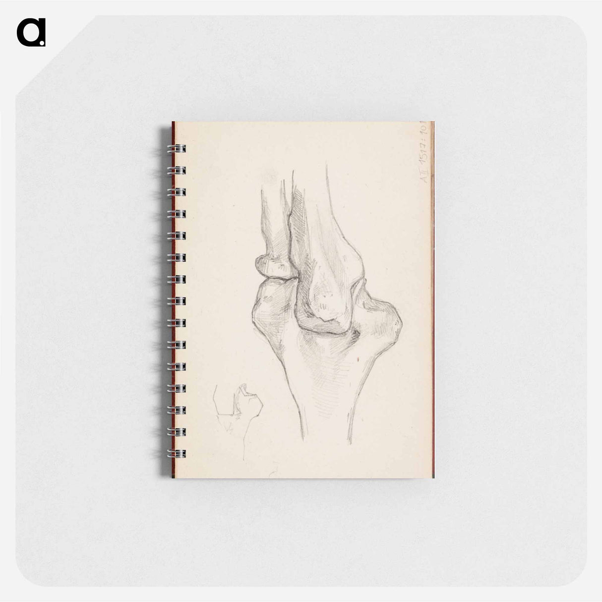 (unknown) part of a sketchbook - アルバート エーデルフェルト Memo.