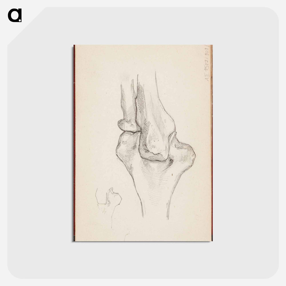 アートポストカード-(unknown) part of a sketchbook - アルバート エーデルフェルト Postcard.
