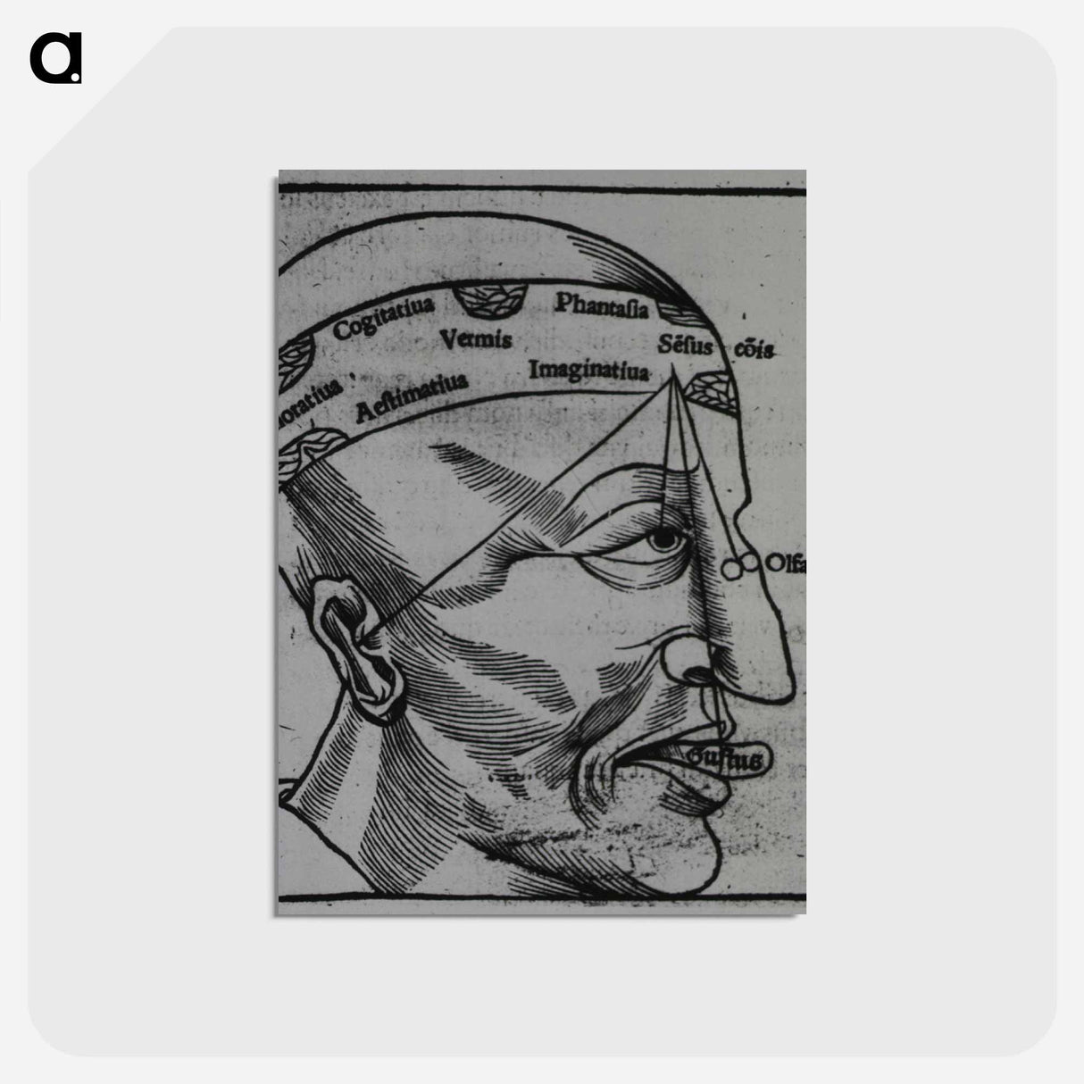アートポストカード-Memory, Imagination, Cognition and the Senses
- 国立医学図書館 Postcard.