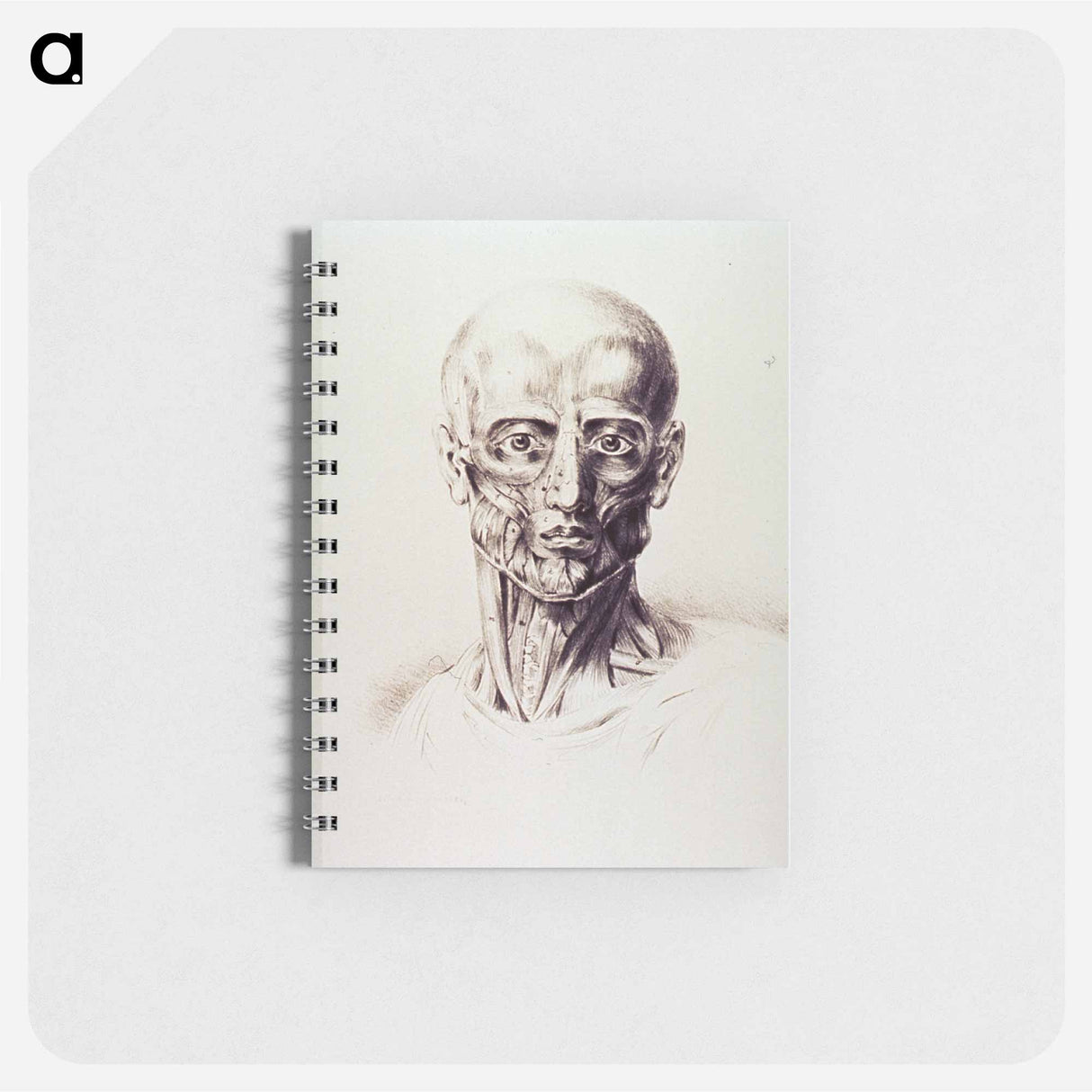 アートメモ帳-Muscles of the Neck and Face
- 国立医学図書館 Memo.