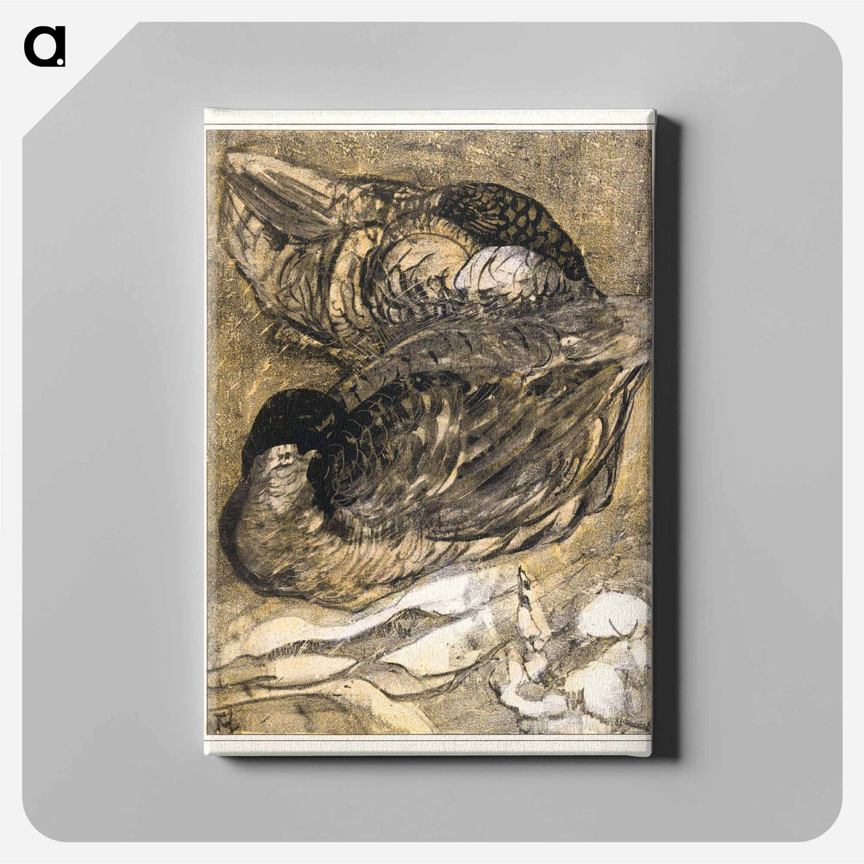 Twee slapende eenden - Theo van Hoytema Canvas.