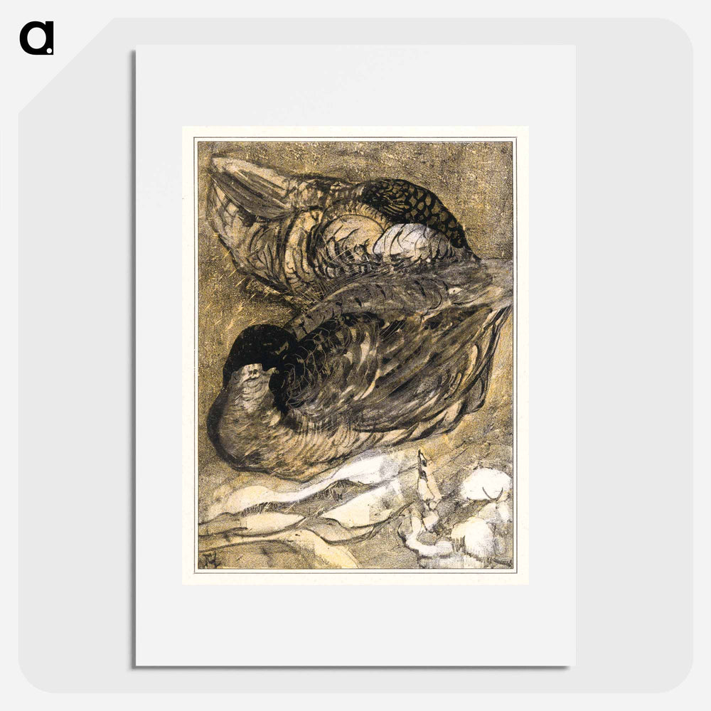 Twee slapende eenden - Theo van Hoytema Poster.