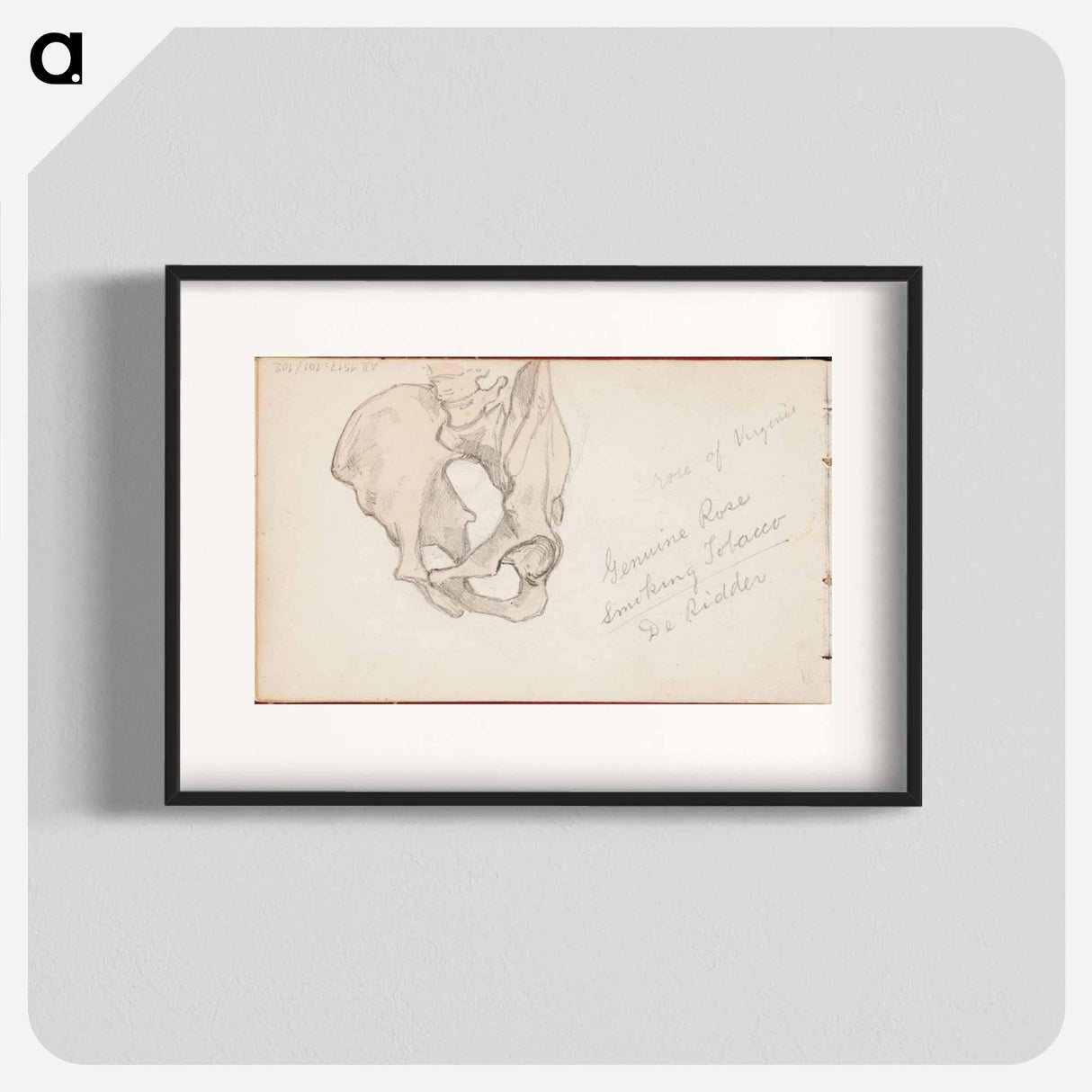 (unknown) part of a sketchbook - アルバート エーデルフェルト Poster.