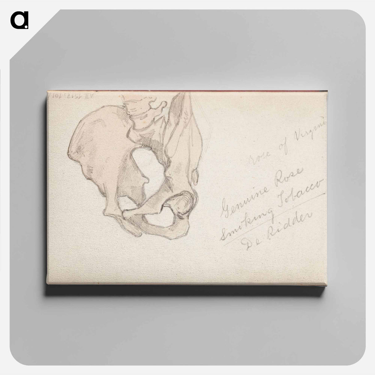 (unknown) part of a sketchbook - アルバート エーデルフェルト Canvas.