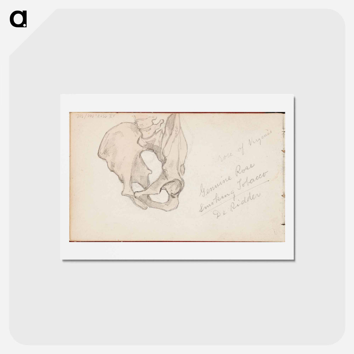 アートポストカード-(unknown) part of a sketchbook - アルバート エーデルフェルト Postcard.