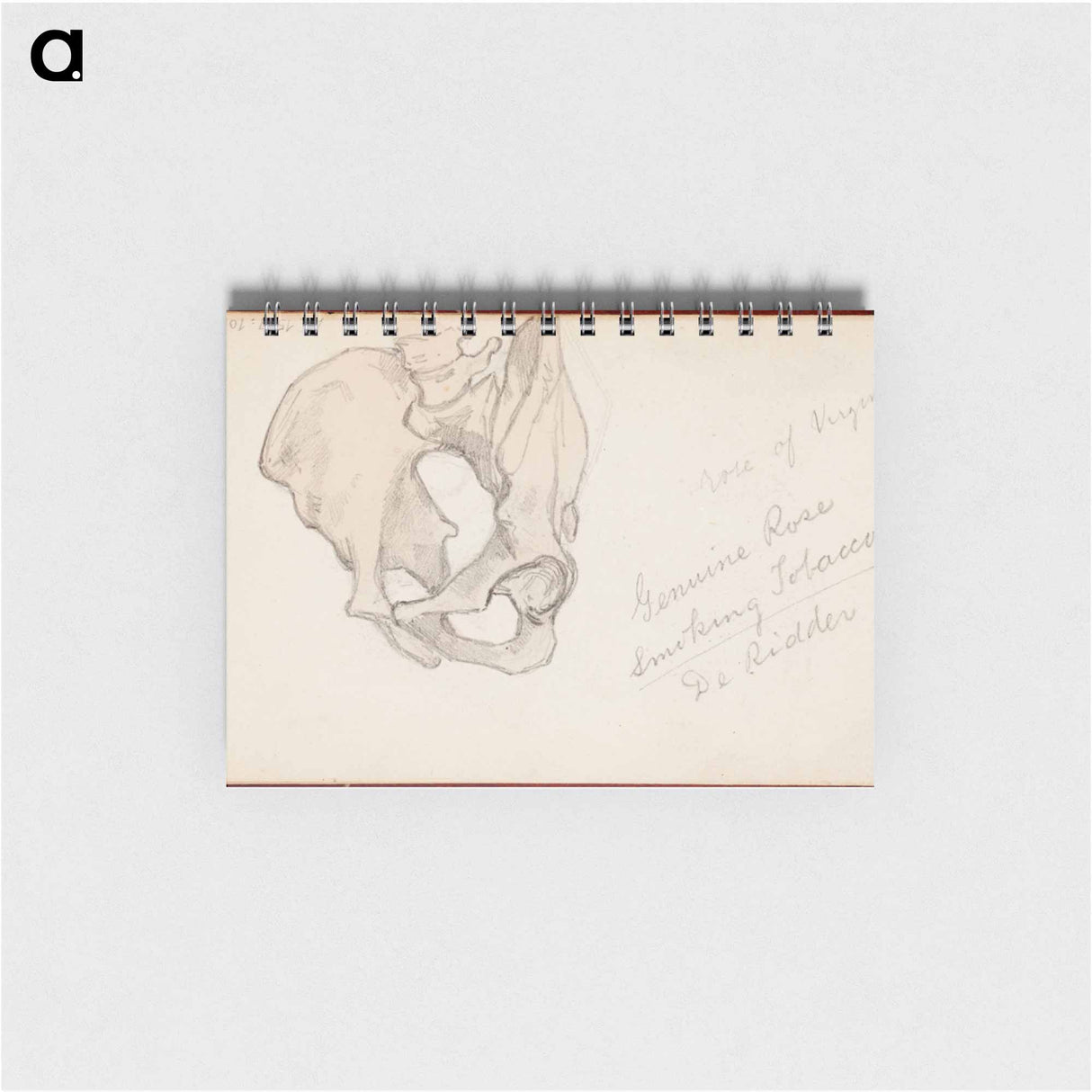 (unknown) part of a sketchbook - アルバート エーデルフェルト Memo.