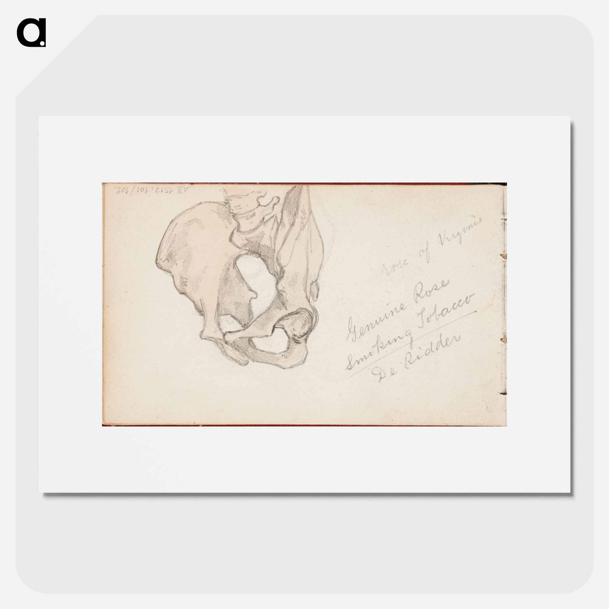 (unknown) part of a sketchbook - アルバート エーデルフェルト Poster.